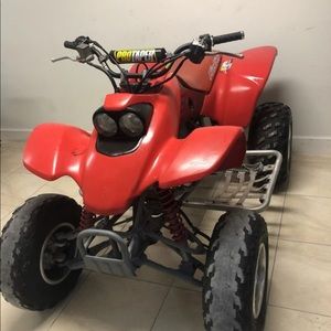 Meet your Posher, Joey